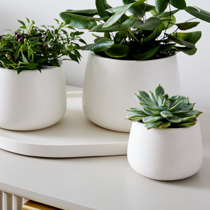Dahlia Ceramic Planters - Set of 3 | West Elm (US)