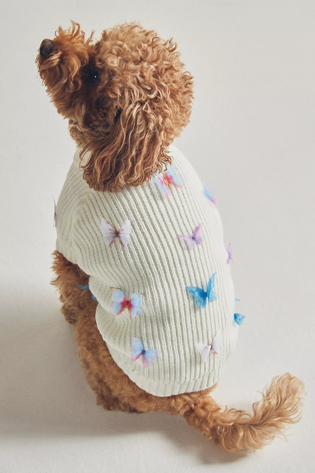 Seasonal 3D Motif Pet Sweater | Anthropologie (US)
