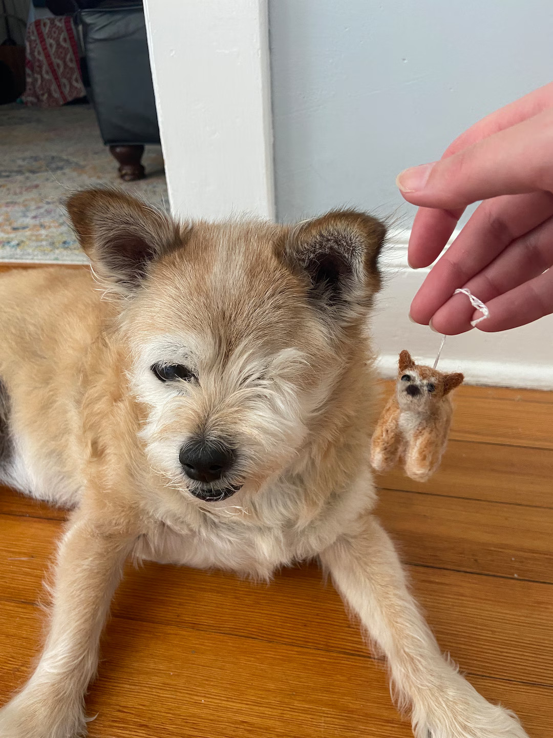 Custom Needle Felted Dog Ornament, Dog Lover Christmas Gift, Custom Dog Ornament, Needle Felted D... | Etsy (US)
