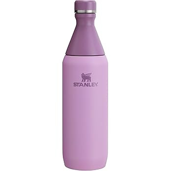 Stanley All Day Slim Bottle 20 oz | Twist On Lid with Leakproof Seal | Slim Design for Travel & G... | Amazon (US)