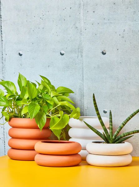 Stacking Planter by Chen and Kai | Coming Soon