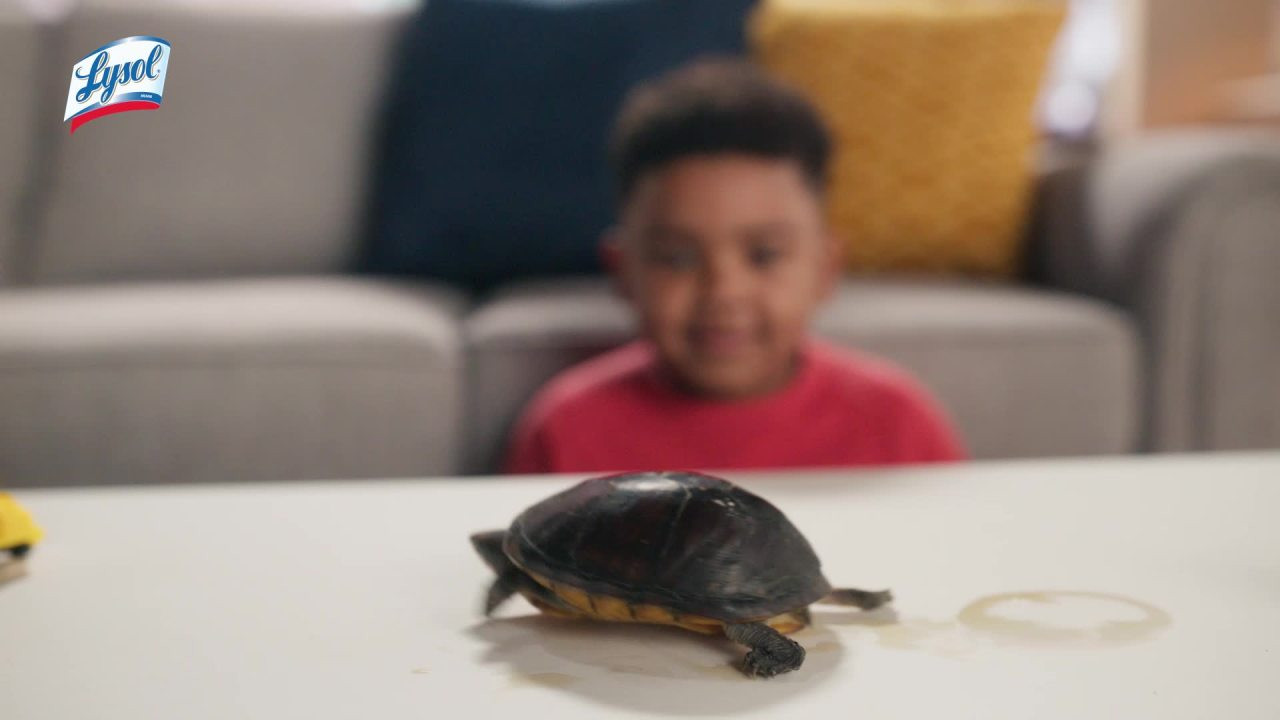 Lysol® Laundry Sanitizer Additive, Laundry Detergent Additive, 0% Bleach, Crisp Linen Scent, 90 ... | Walmart (US)