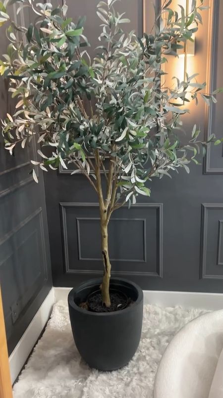 Our faux olive tree from Amazon! Perfect way to spice up any space 
#founditonamazon 

#LTKstyletip #LTKVideo #LTKhome