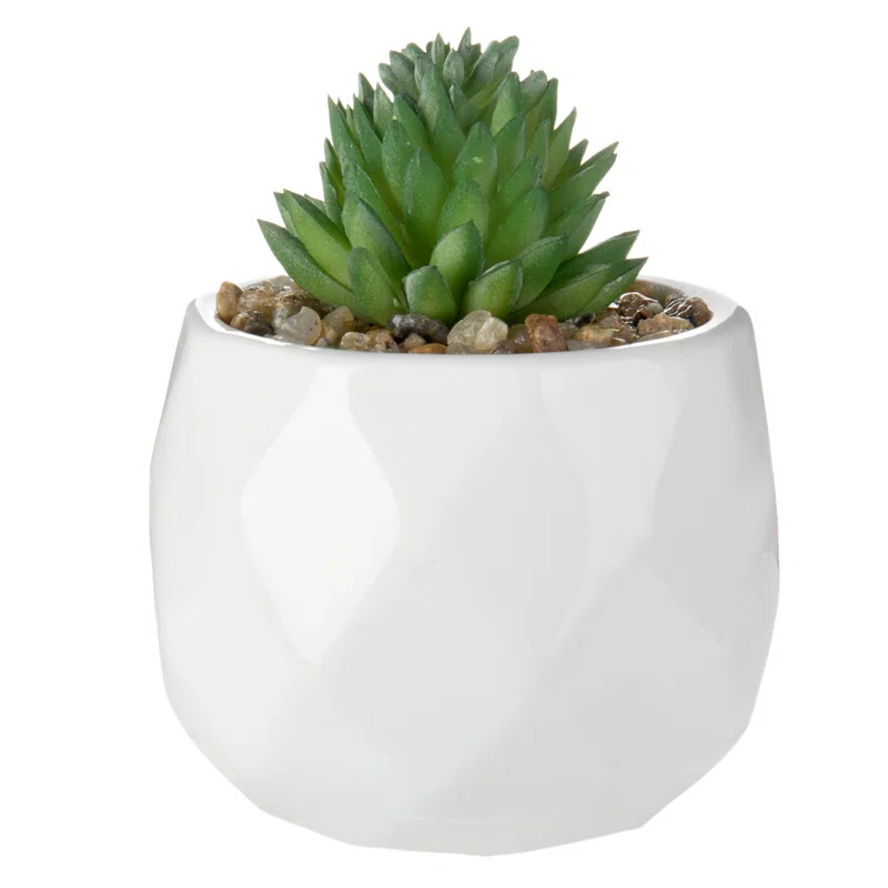 4 - Piece Artificial Succulent Plant in Pot | Wayfair North America