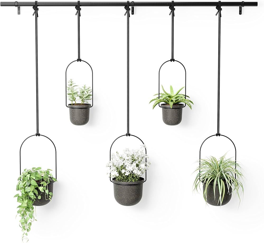 Umbra Triflora Hanging Planter Large | Amazon (US)