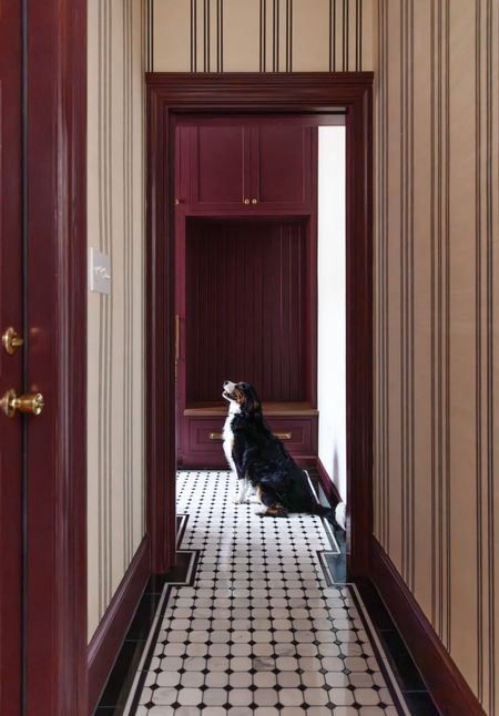 Moody modern traditional mudroom 🐶