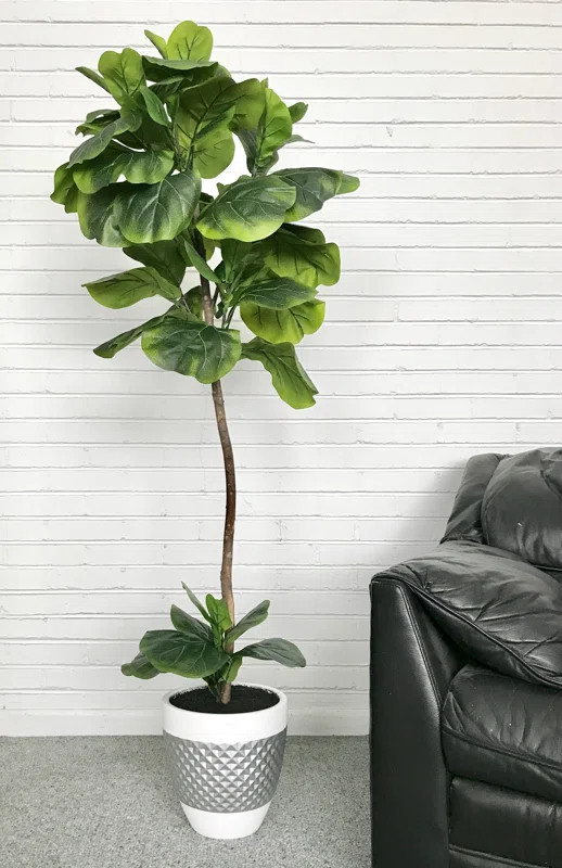 Fiddle-Leaf Fig Floor Palm Tree in Pot | Wayfair North America
