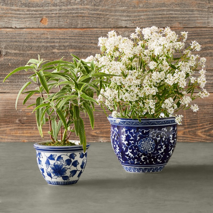 Blue &amp;amp; White Mini Planter Set | Williams-Sonoma