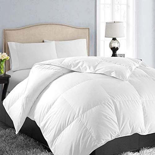 EASELAND All Season Oversized Queen Soft Quilted Down Alternative Comforter Reversible Duvet Inse... | Amazon (US)