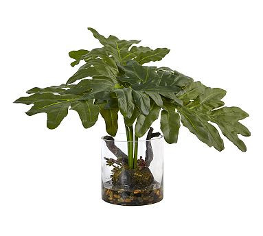 Faux Potted Philodendron Arrangement | Pottery Barn (US)