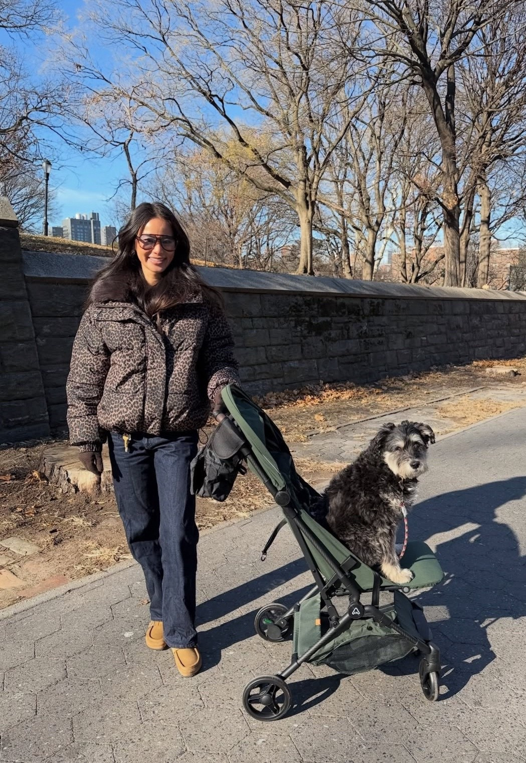 Linking all similar finds for you 🤎✨




#LTKFindsUnder100 #LTKootd #LTKSaleAlert