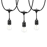 Amazon Basics 24-Foot Commercial Grade Outdoor String Lights with 8 S14 Edison Style 1-Watt LED Bulb | Amazon (US)