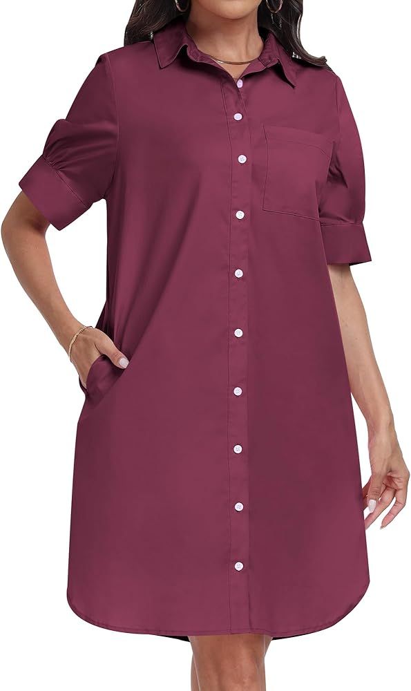 ANRABESS Women's Shirt Dress Collar Short Sleeve Loose Casual Summer Button Down Shift Dresses wi... | Amazon (US)