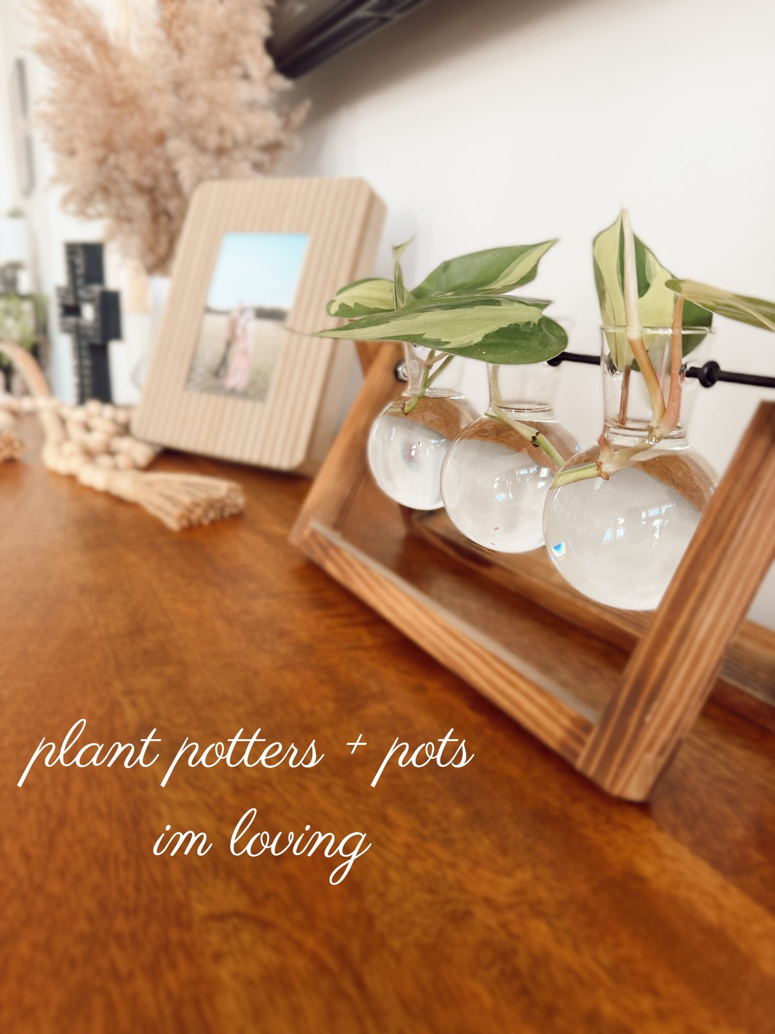 Plant potters I’m loving for spring 

#LTKU #LTKmomlife #LTKHome