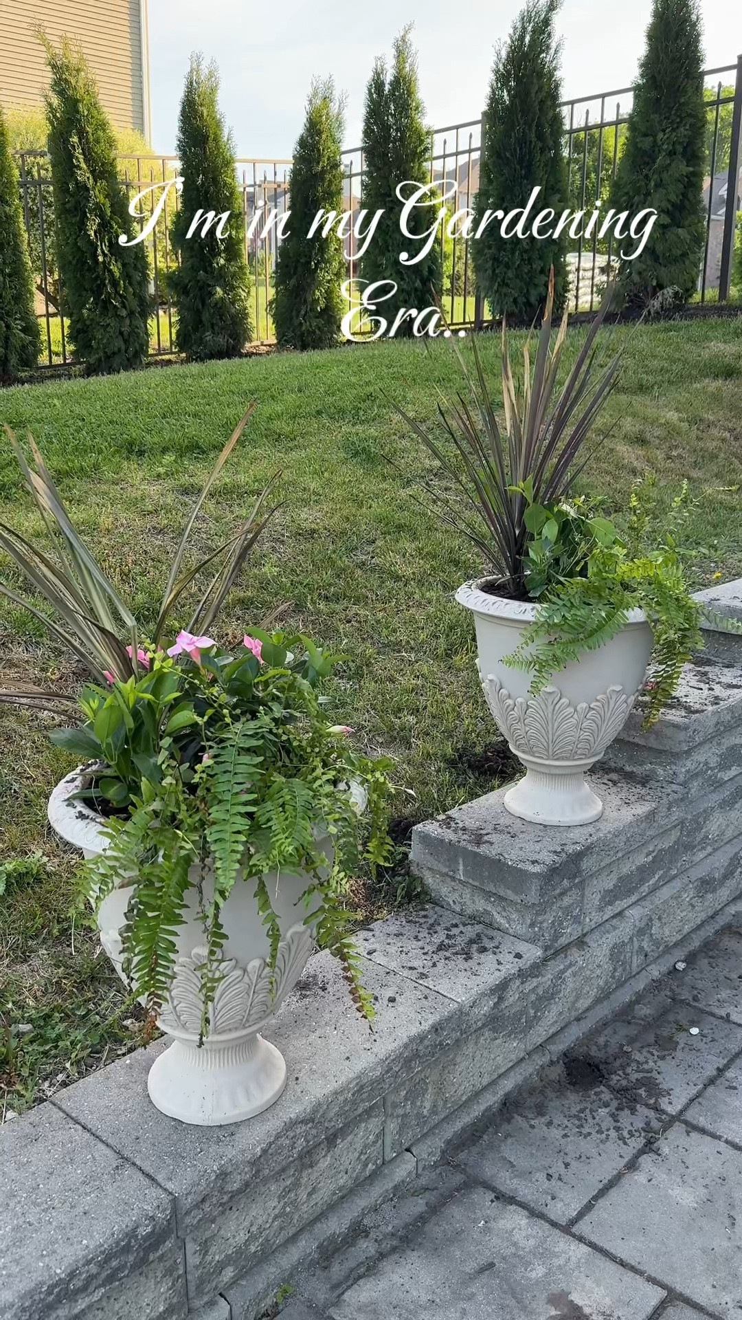 Summer gardening!
Planters, Ferns

#LTKvlog #LTKSeasonal #LTKHome