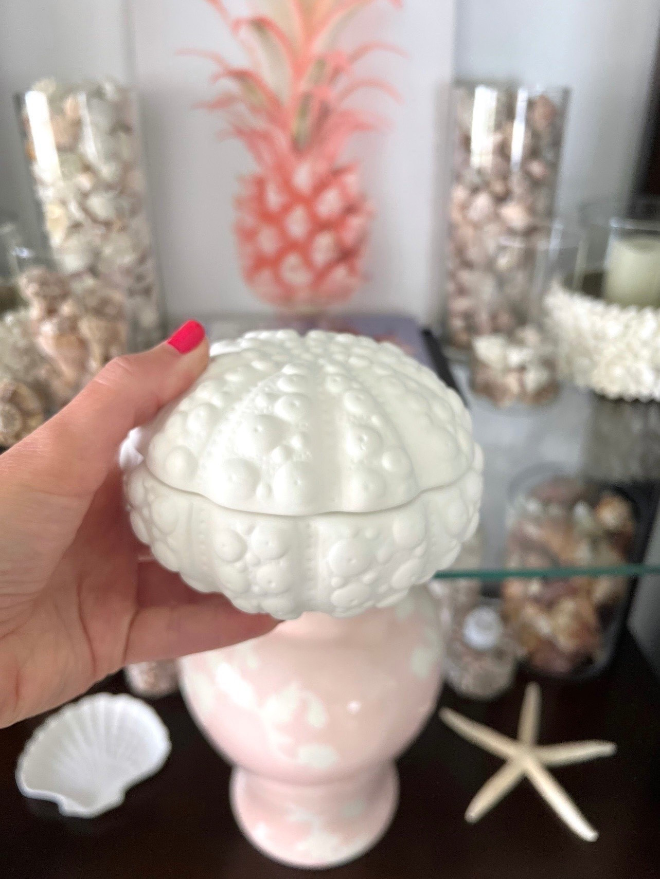 Target has some beautiful coastal decor for your home! So affordable too. You can remove the lid from this shell box. Only $10!


@Target

#LTKHome #LTKSeasonal #LTKstorytime