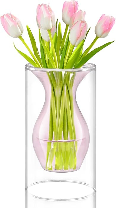 ZENS Unique Pink Small Flower Vase, Double Hollow Floating Clear Glass Vase, Modern Decorative Ha... | Amazon (US)