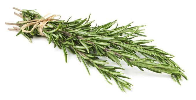 Rosemary, Locally Grown, 2 Bunches | Amazon (US)