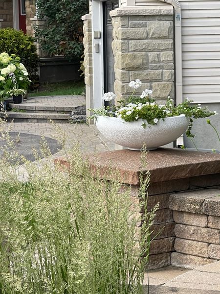 This outdoor planter is so stunning! Love the gorgeous texture and shape!  

Organic modern, white, black, plant pot, bowl, patio, porch, outdoor living, summer, backyard, CB2

Setting For Four Interiors
Virtual Interior Design 

#LTKhome #LTKstyletip #LTKFind