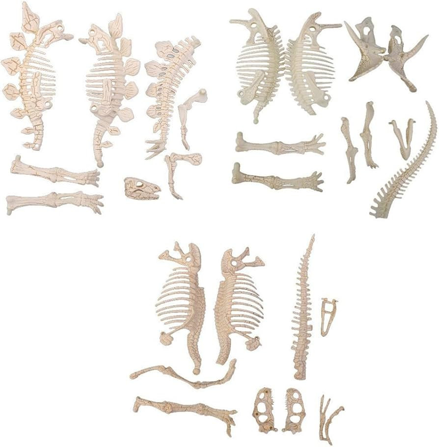 NUOLUX 3Pcs 4D Dinosaur Fossil Skeleton Toys DIY for Kids Fossil Skeleton Figure | Amazon (US)