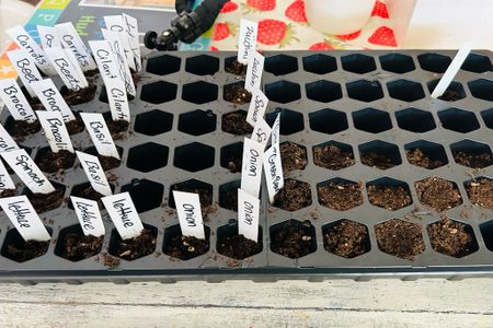 Seedlings starter setup! 🌱

Seeds, garden markers, potting soil, planting seeds, garden soil, 


#LTKkids #LTKSeasonal #LTKhome