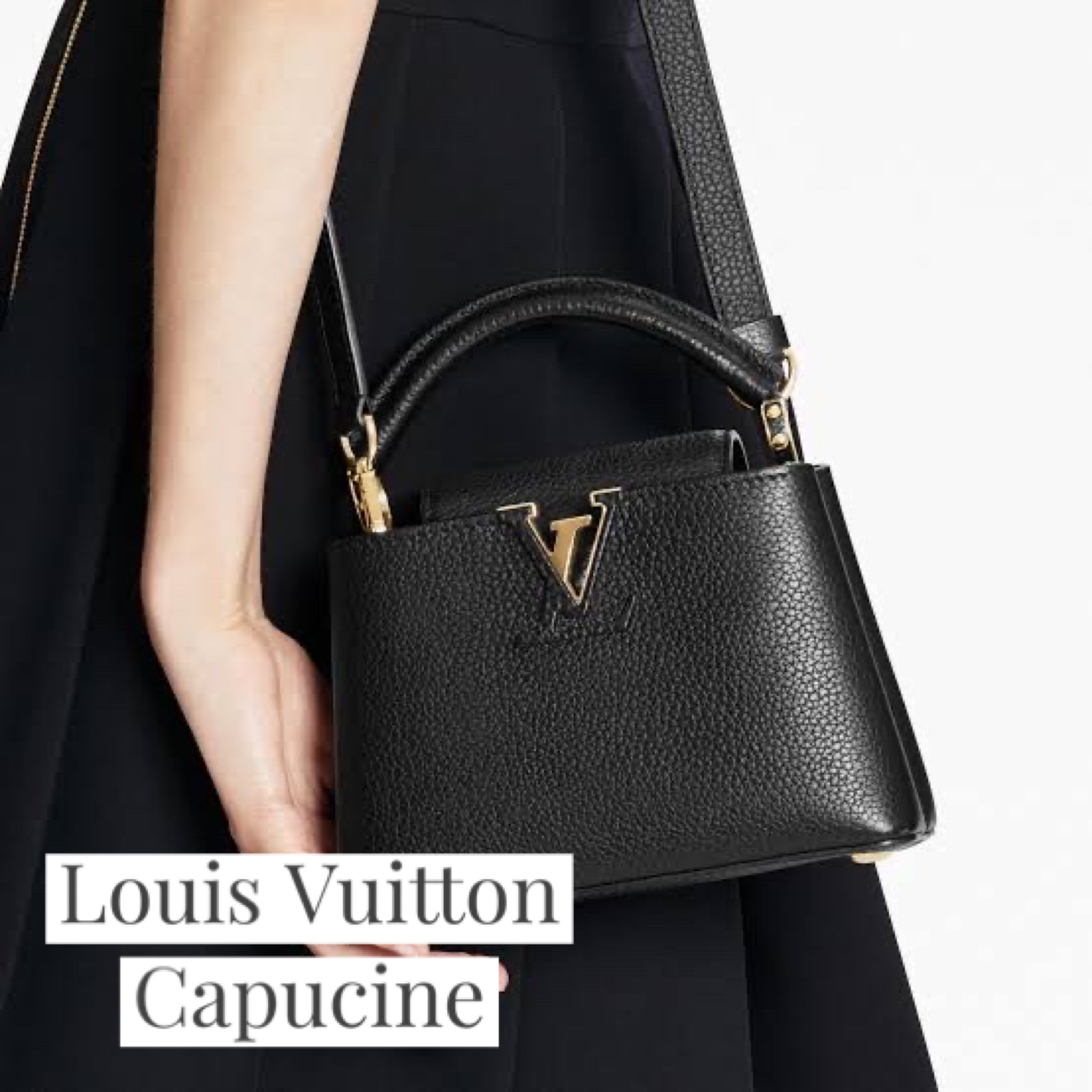 Louis Vuitton Capucine Flat Ballerina