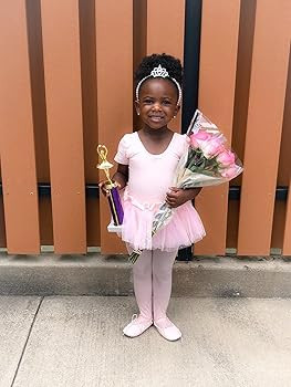 Dancina Girls Skirted Leotard Sparkle Short Sleeve Tutu Ballet Dress Front Lined | Amazon (US)