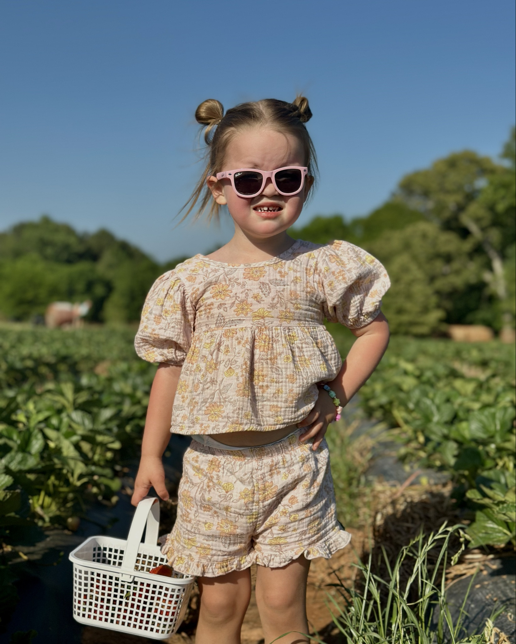     Spring toddler style 

#LTKKids #LTKmomlife #LTKootd