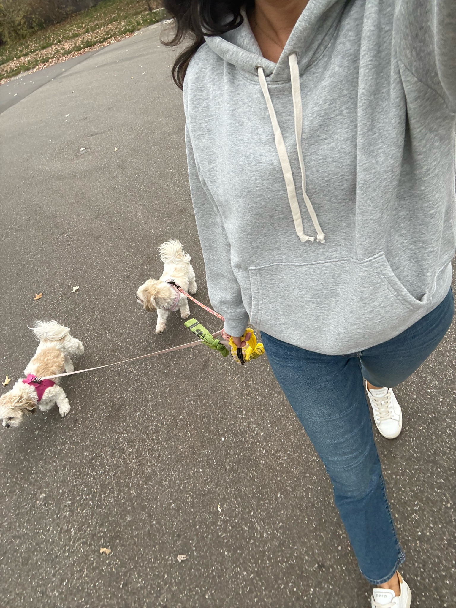 I have a lot of hoodies but this one feels so luxe for some reason. I sized up to Medium (I’m usually xs/s). Levi’s jeans - can’t go wrong. I sized up ⬆️. 
Leather sneakers are old favorites (still available). True to size. I would 💯 repurchase these. Sleek and clean look to them and they go with everything.  Also linked the J Crew sneakers I have and would recommend  

#LTKShoeCrush #LTKStyleTip #LTKSeasonal