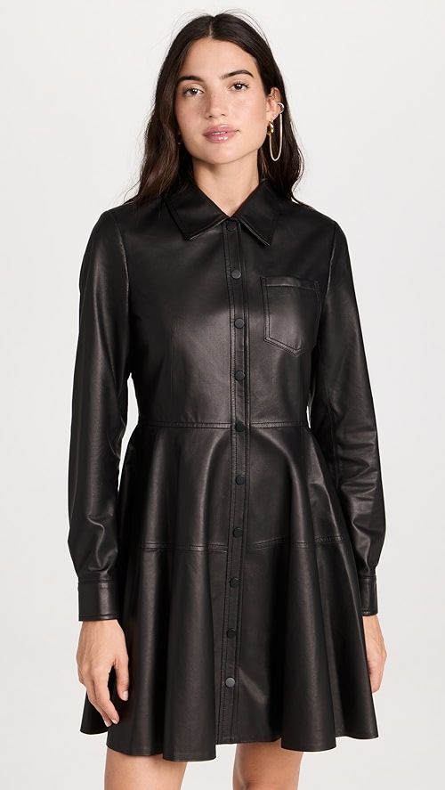 Short Leather Dress | Shopbop