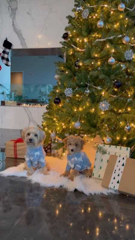 Family pajamas including dog pajamas from Hanna Anderson.

#LTKHoliday #LTKSeasonal