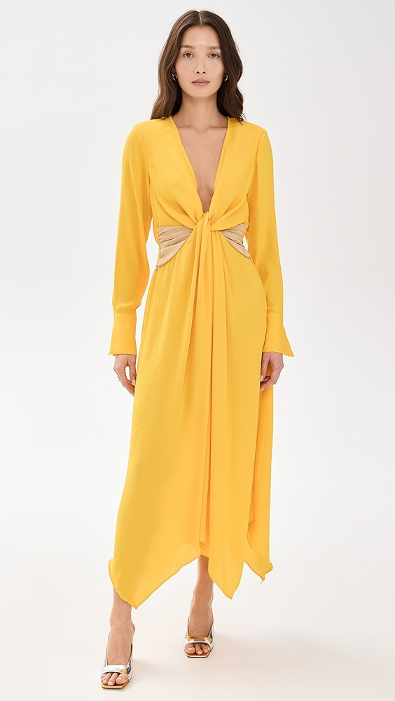 Colorblock Tatia Dress | Shopbop