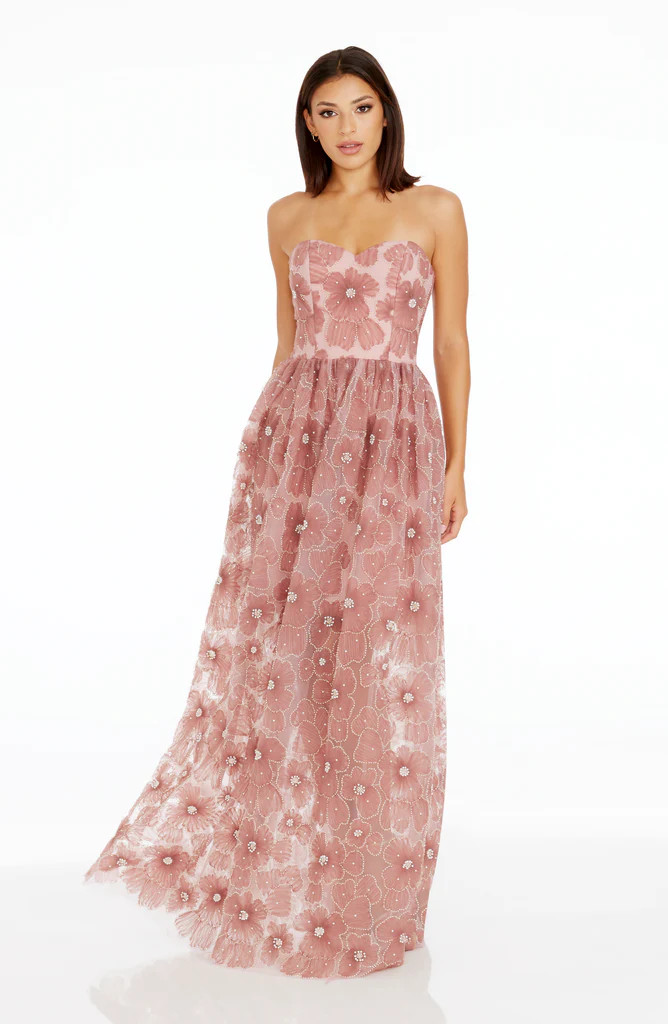 Audrina Sheer Gown | Dress The Population