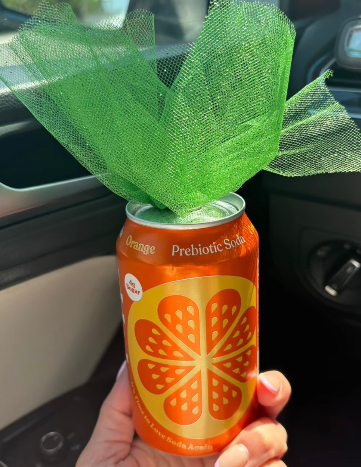 How cute is this for Easter? My friend posted this and I think it’s adorable!!!!

#LTKSeasonal #LTKFamily #LTKFindsUnder50