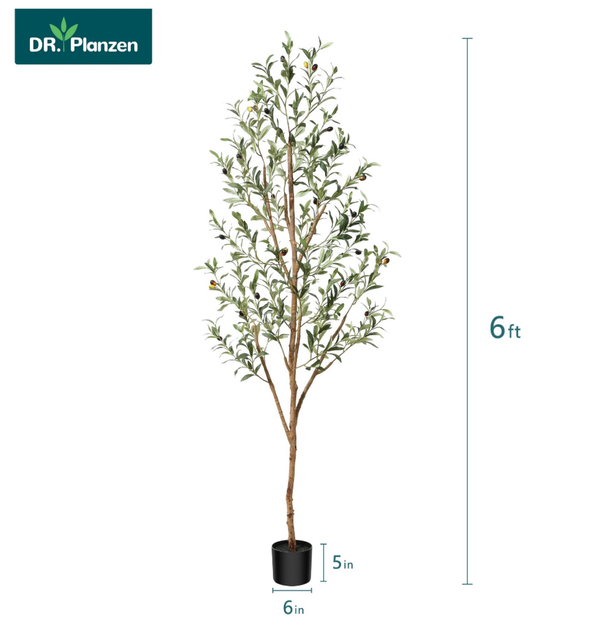 70% off this 6 ft olive tree!! #ltksale #walmart #walmartfinds

#LTKSeasonal #LTKsalealert #LTKfindsunder50