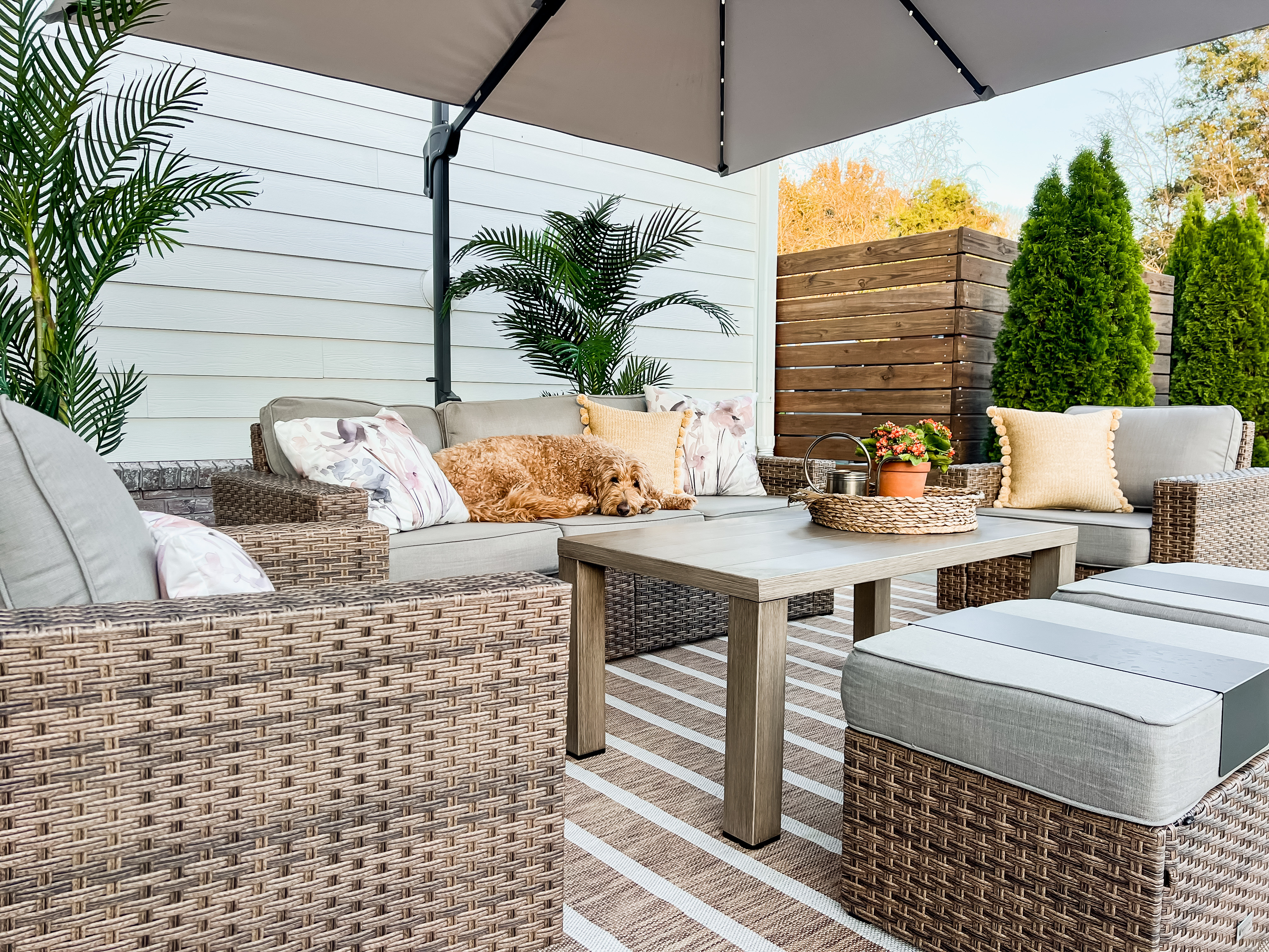 Just added this gorgeous wicker patio set from Amazon! It’s a great price and comes with 6 pieces! Also linking our cantilever umbrella and new outdoor rug! 

#LTKStyleTip #LTKSeasonal #LTKHome