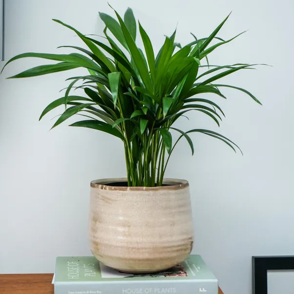 Como Plant Pot | Dunelm (migrated)