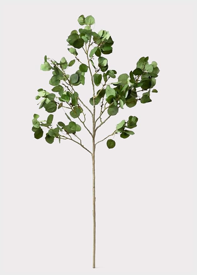 Tall Luxe Artificial Aspen Branch - 51" | Amazon (US)