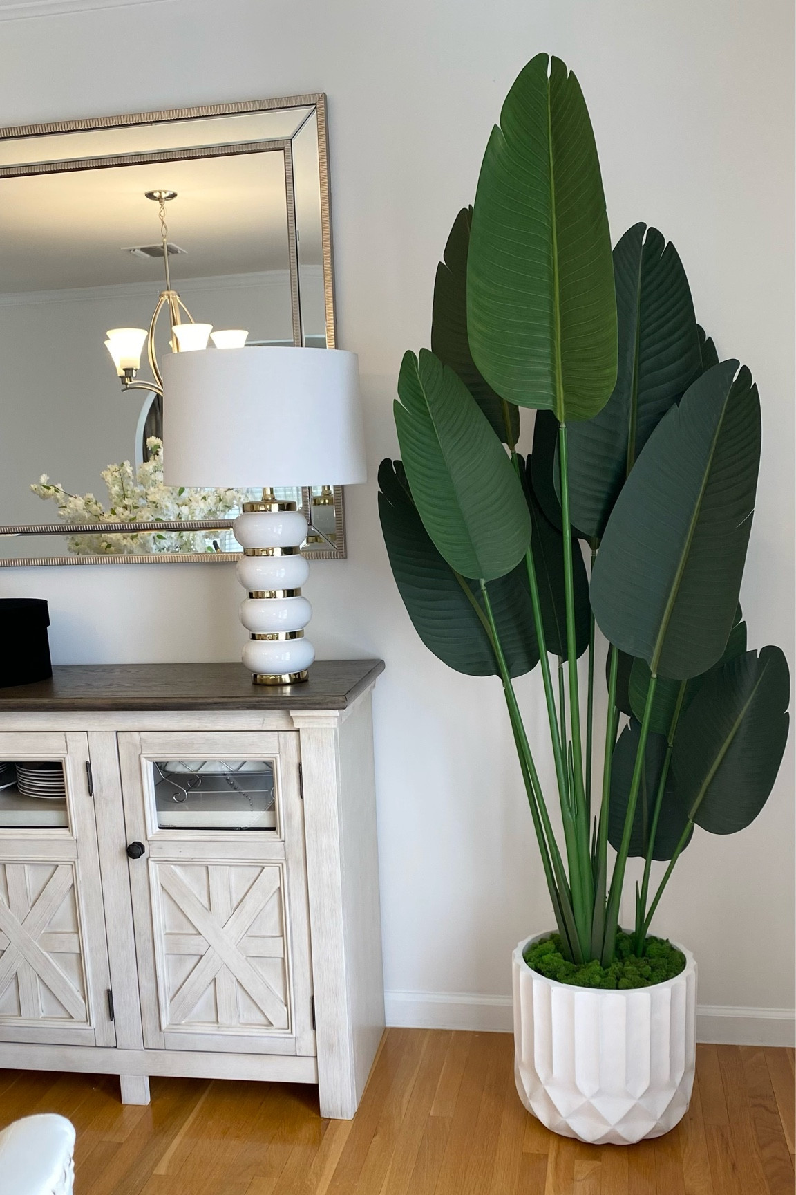 Scroll down to shop this faux plant. Follow me for more great contents • Amazon favorites • Amazon home finds • Amazon must haves 

#LTKFind #LTKhome #LTKunder100
