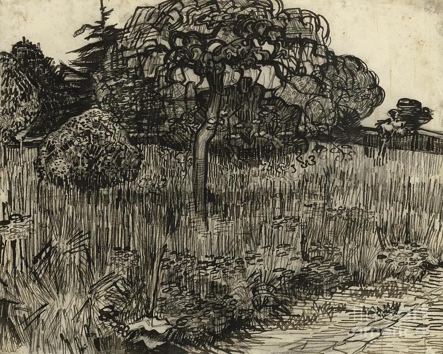 Weeping Tree by Van Gogh | Fine Art America