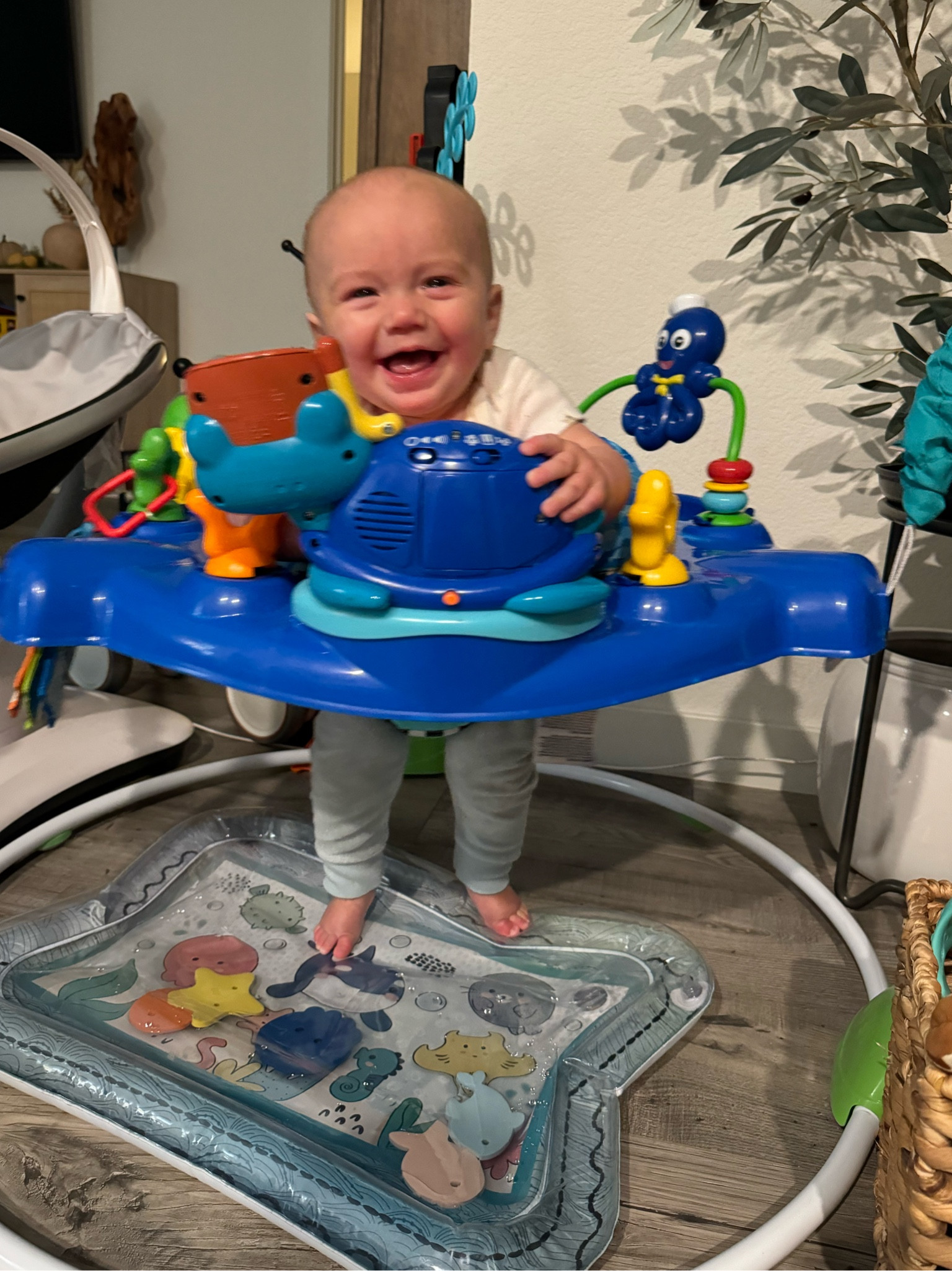 We've had this jumper activity center for both boys! Breaks down easily to store away once they outgrow it. Both babies loved it and I always liked to put them in it for a fun change. The activities are engaging and fun to explore. 

Currently is on sale with the Amazon baby sale going on this month! A few different cute designs to choose from. 




#LTKSaleAlert #LTKBump #LTKBaby