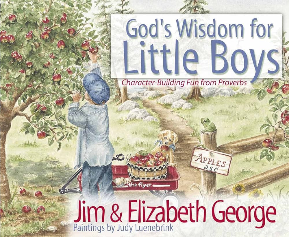 God's Wisdom for Little Boys: Character-Building Fun from Proverbs | Amazon (US)