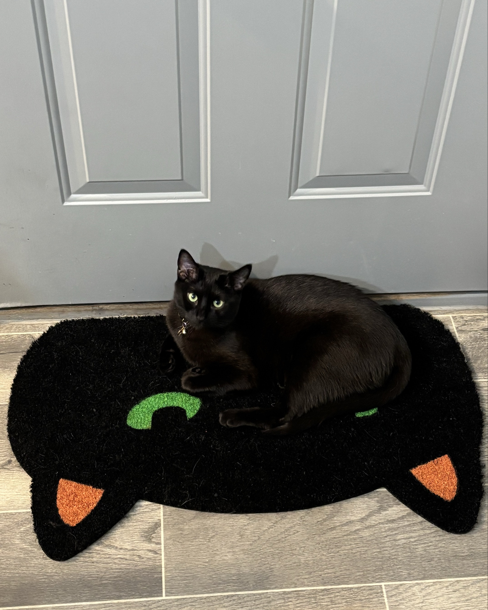 Sage found his door mat twin 🐈‍⬛🐾

#LTKSeasonal #LTKHalloween #LTKFindsUnder50
