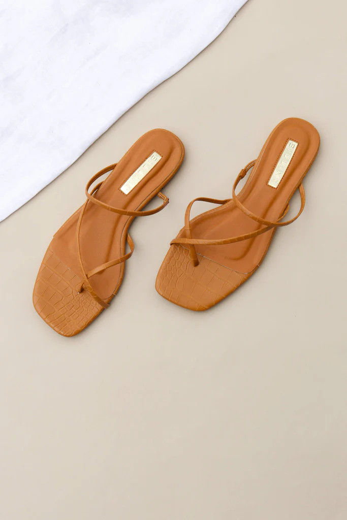 Andre Slide - Camel Croc | Petal & Pup (AU)