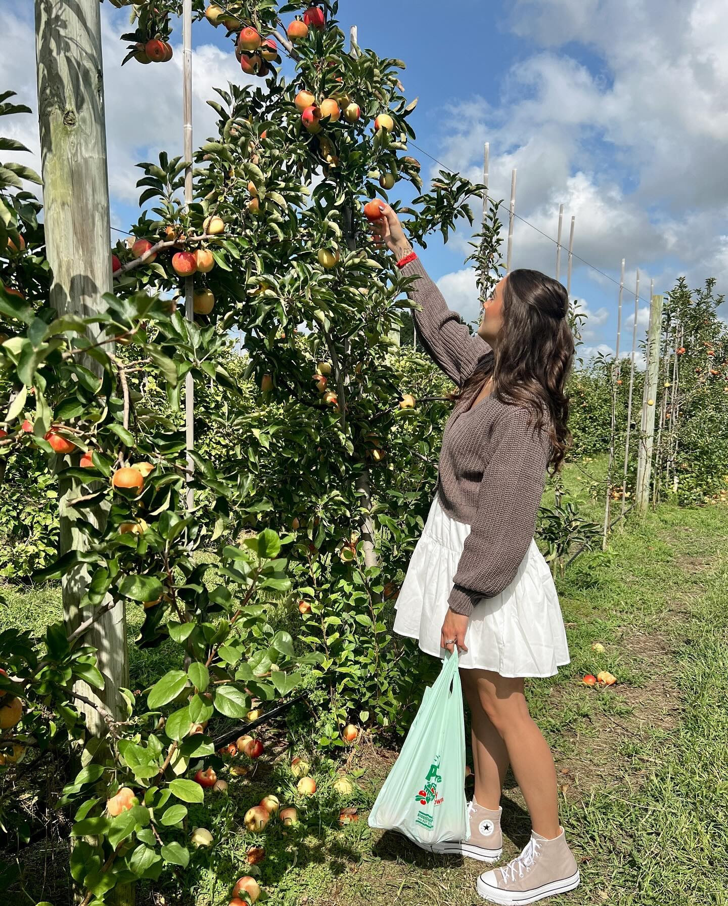 apple pickin’ szn 🍎🫶🏼✨

#LTKSeasonal #LTKStyleTip #LTKFindsUnder100