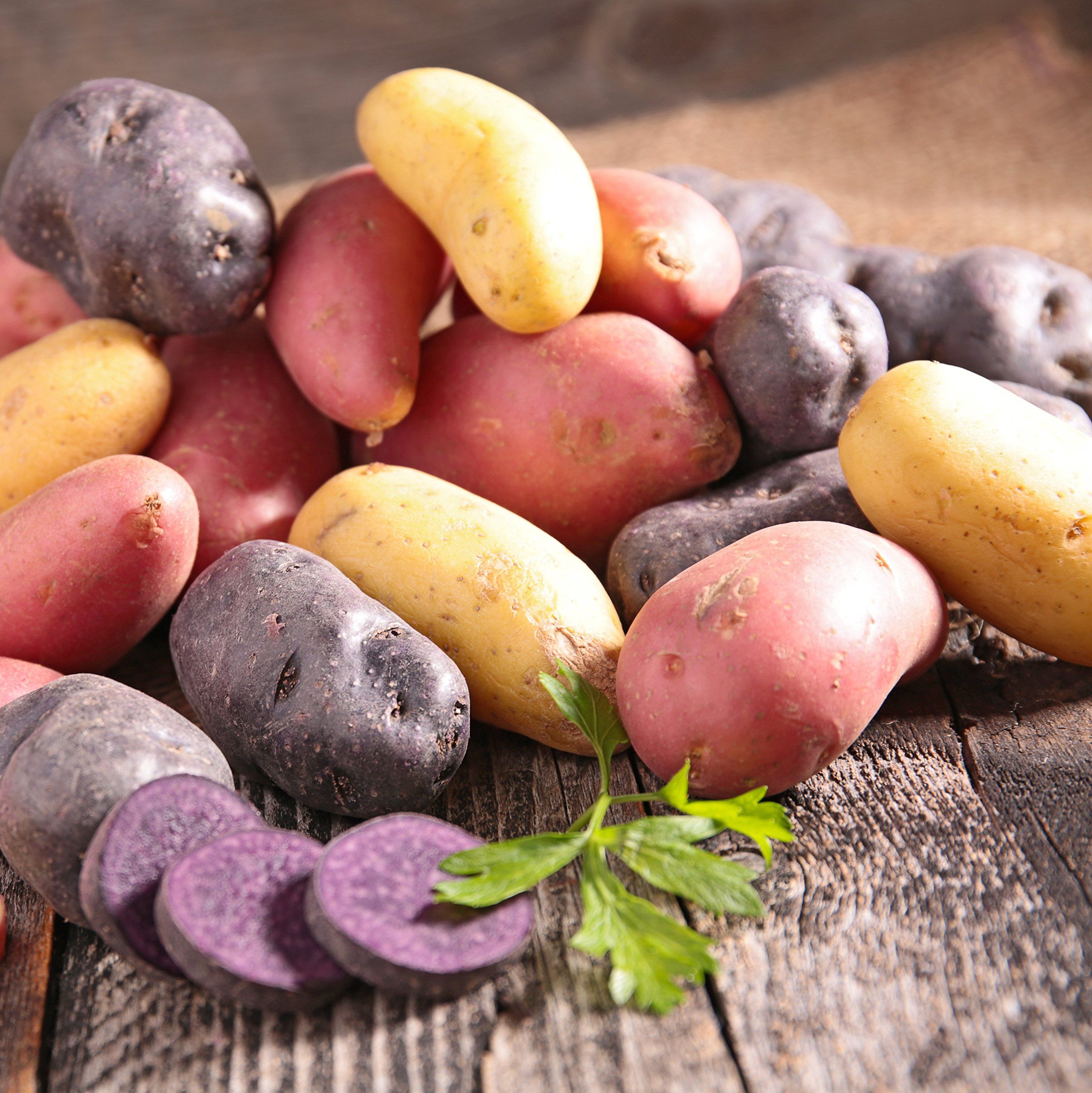 Organic US Grown Potato Medley Mix - 10 Seed Potatoes Mixed Colors Red, Purple and Yellow from Easy  | Amazon (US)
