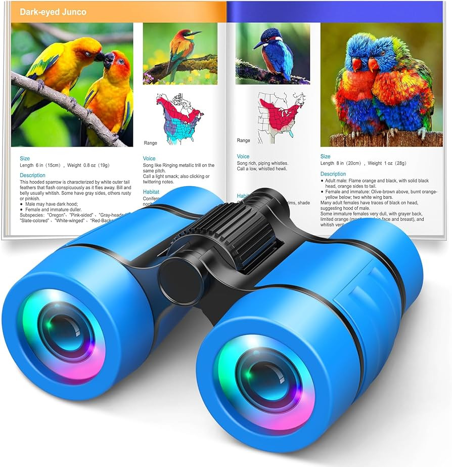 Toys for 3-7 Year Old Boys: LET'S GO! Binoculars for Kids with Bird Watching Manual Easter Birthd... | Amazon (US)