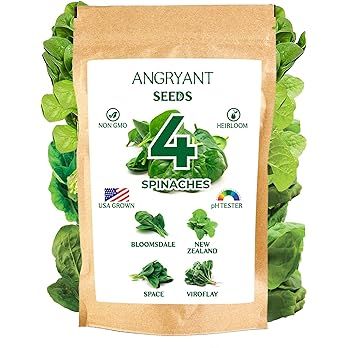 Spinach Seeds 4 Variety Pack - Non GMO, Heirloom Seeds for Planting Indoor, Outdoor, and Hydropon... | Amazon (US)