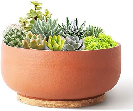 SQOWL Terracotta Planter Pot for Succulent 8 Inch Pottery Pot Round Planter Cactus Clay Flower Po... | Amazon (US)