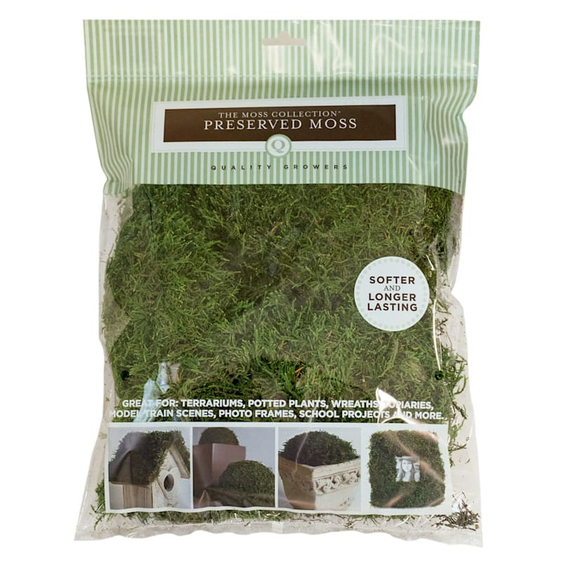 Preserved Sheet Moss, Natural Green | At Home